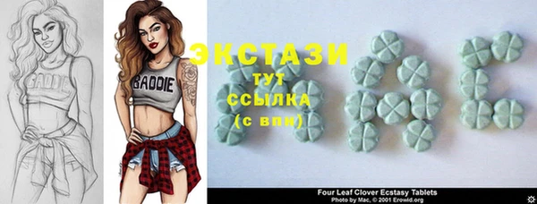 ECSTASY Кукмор